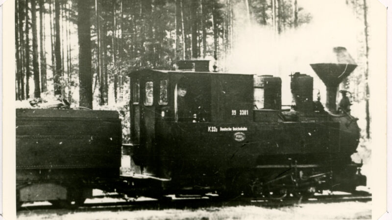 Waldeisenbahn Lothar Meißner 109